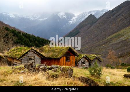 Sennhütten Haukassetra im Hjoerundfjord, Moere und Romsdal, Hurtigrute, Norwegen, Europa Stockfoto