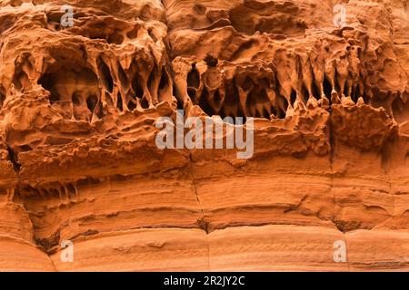 Strukturen im Felsen, Altschlossfelsen, bei Eppenbrunn, Pfälzerwald, Rheinland-Pfalz, Deutschland Stockfoto