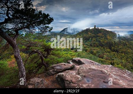 Burgruine Scharfenberg, bei Annweiler, Pfälzerwald, Rheinland-Pfalz, Deutschland Stockfoto