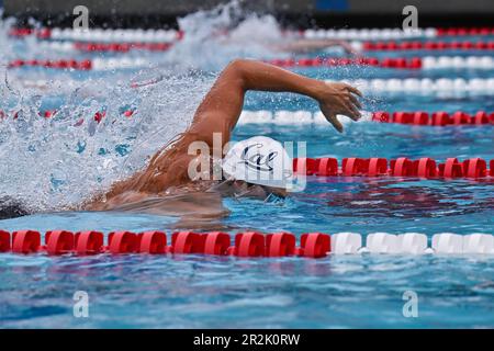 Mission Viejo, Kalifornien, USA. 19. Mai 2023. Gabriel Jett, California Aquatics, auf Spur 3 des Freestyle Men's Final 200m bei der USA Swimming 2023 TYR Pro Swim Series, Marguerite Aquatic Center in Mission Viejo, Kalifornien. Justin Fine/CSM/Alamy Live News Stockfoto