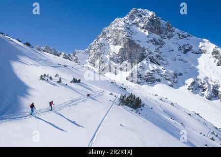 Skitourengeher mit Hund ziehen im Tiefschnee eine Aufstiegsstrecke zum Tajakopf in Ehrwald, blauer Himmel bei Sonnenschein Stockfoto