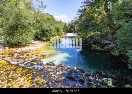 Ukanc; Sava Bohinjka; Fluss Stockfoto