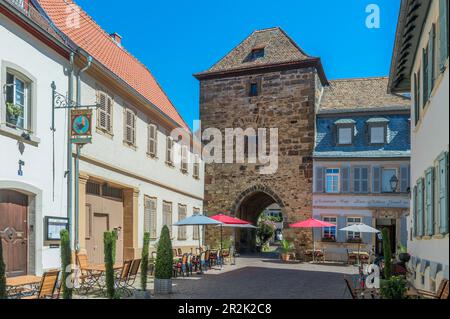Stadtmauer mit Eisentor in Freinsheim an der Deutschen Weinstraße, Rheinland-Pfalz, Deutschland Stockfoto