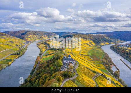 Luftaufnahme der Marienburg bei Zell, Mosel, Rheinland-Pfalz, Deutschland Stockfoto