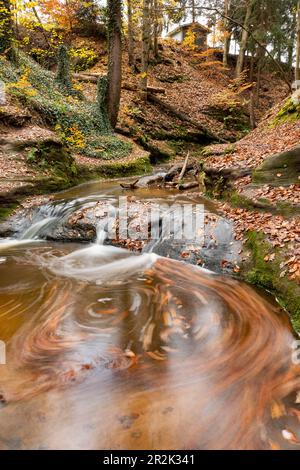 Die Bitterbachschlucht im Herbst, Lauf an der Pegnitz, Mittelfranken, Franken, Bayern, Deutschland, Europa Stockfoto