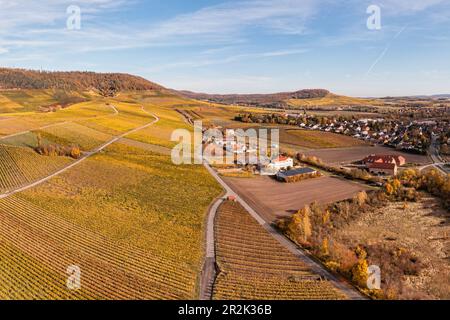 Herbst in den Weinbergen Schwanberg, Rödelsee, Kitzingen, Unterfranken, Franken, Bayern, Deutschland Stockfoto