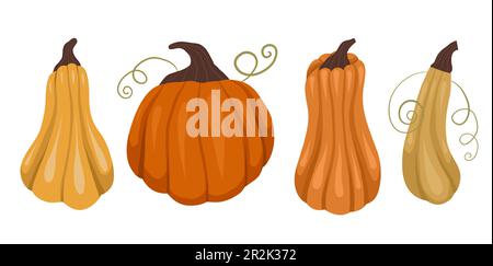 Vektorsatz Kürbisse vom Hintergrund isoliert. Herbsternte-Kollektion. Gemüse aus dem Garten für Aufkleber, Postkarten und Sublimation. Stock Vektor