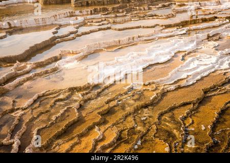 Thermalquellen von Mammoth, hergestellt aus Kalziumkarbonat aus heißem Wasser, Yellowstone-Nationalpark, Wyoming, USA. Stockfoto