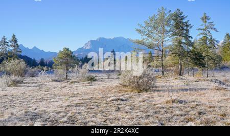 Sonniger Morgen mit Reif in den Isarwiesen bei Wallgau Stockfoto