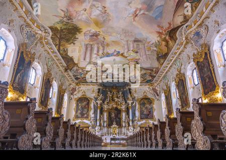 Ingolstadt; Asam-Kirche Maria de Victoria, innen Stockfoto