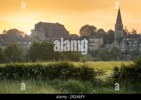 Samstag, 20. Mai 2023. Malmesbury, Wiltshire, England - Wenn die Sonne hinter der Abtei aufgeht, wird der Himmel gelb und passt zu einer Wiese voller Butterblumen in der Nähe der malerischen Stadt Malmesbury in Wiltshire. Kredit: Terry Mathews/Alamy Live News Stockfoto