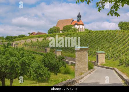 Volkach; Wallfahrtskirche Maria im Weingarten Stockfoto
