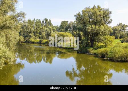 Rott, Flussidylle auf dem Innradweg bei Neuhaus am Inn Stockfoto