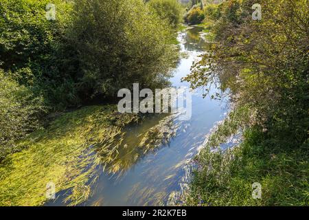 Rott, Flussidylle auf dem Innradweg bei Neuhaus am Inn Stockfoto