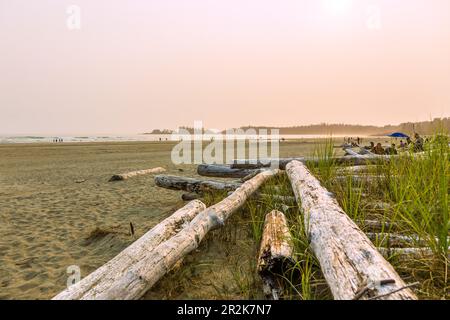 Vancouver Island, Pacific Rim National Park, Long Beach Stockfoto