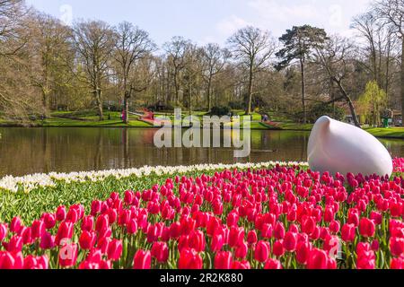 Keukenhof, Tulpenschau, Gärten Stockfoto