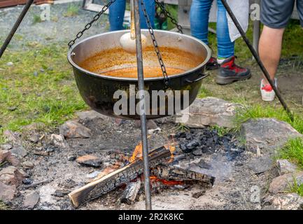 Kettle Gulasch über einem Feuer Stockfoto