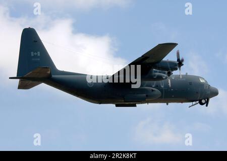 Kanadische Luftwaffe Lockheed CC-130E Hercules (C-130E, L-382) (REG: 130316), die von Landebahn 14 steigt. Stockfoto