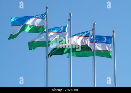 Mehrere Nationalflaggen Usbekistans flattern gegen einen blauen wolkenlosen Himmel Stockfoto
