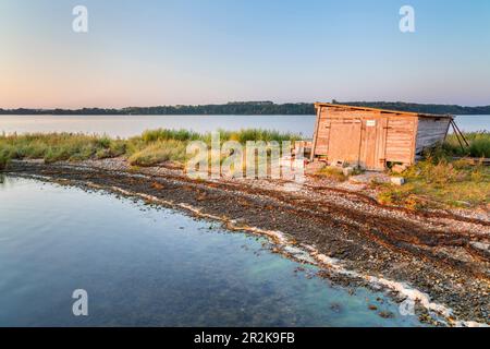 Fischerschuppen auf dem Bodden, Neu Reddevitz, Insel Ruegen, Mecklenburg-Vorpommern, Deutschland Stockfoto