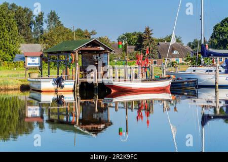 Fährhafen und Ruderfähre nach Moritzdorf, Baabe Hafen, Rügen Insel, Mecklenburg-Vorpommern, Deutschland Stockfoto