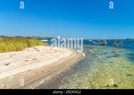 Strand am Bodden vor Klein Zicker, Insel Rügen, Mecklenburg-Vorpommern, Deutschland Stockfoto