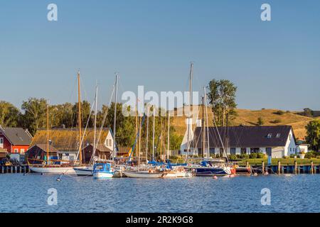 Im Hafen von Gager, Insel Rügen, Mecklenburg-Vorpommern, Deutschland Stockfoto