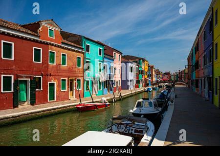 Bunte Häuser in Burano Venedig italien Stockfoto