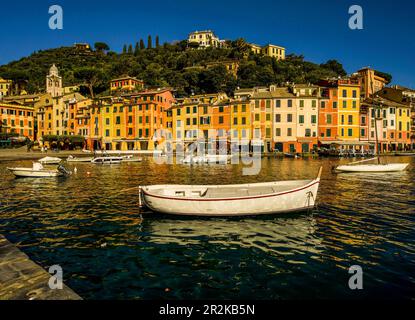 Portofino Hafen im Winter, Ligurien, Riviera Levante, Italien Stockfoto