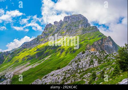 Blick auf den Furggenhütsch im Hohgant-Massiv, Emmentaler Alpen, Kanton Bern, Schweiz Stockfoto