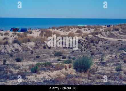 PLAYA - FOTO AÑOS 60. Lage: AUSSEN. ROMPIDO EL. Huelva. SPANIEN. Stockfoto