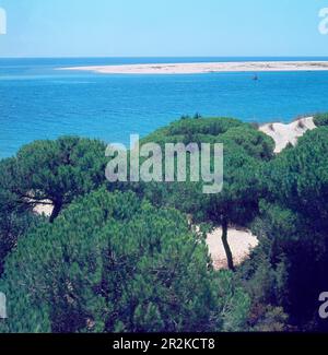 PLAYA - FOTO AÑOS 60. Lage: AUSSEN. ROMPIDO EL. Huelva. SPANIEN. Stockfoto