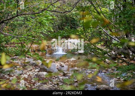 Im Nationalpark Paklenica, geschützter Bergwald mit 2 Gipfeln über 1.700m hoch, beliebt bei Bergsteigern und Bergsteigern, Stari Grad, Kroatien, Stockfoto