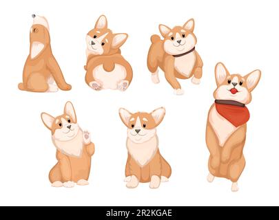 Süßer Corgi in verschiedenen Positionen, Vektorbildungs-Set Stock Vektor