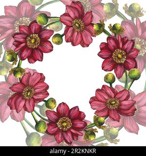 Runder Rahmen für die Zusammensetzung rosafarbener Anemonblüten. Aquarelldarstellung auf weißem Hintergrund hervorgehoben. Geeignet für die Herstellung von Postkarten Stockfoto