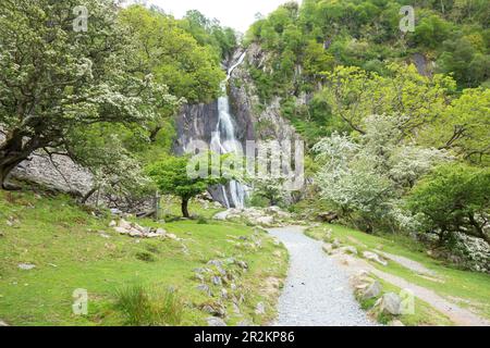 Aber Falls im Snowdonia-Nationalpark North wales Stockfoto