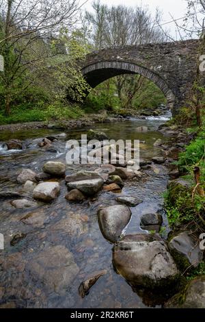BoNT Newydd bei Aber Falls, Abergwyngreygn, Nordwales. Eine alte Steinbrücke über den Afon Rhaeadr Fawr. Stockfoto