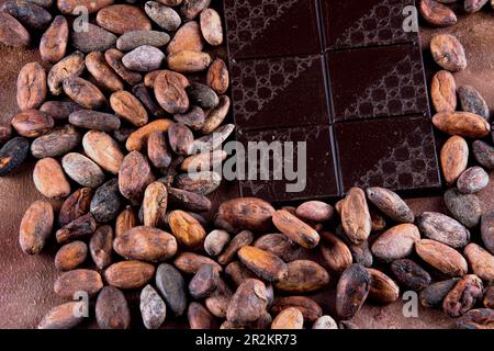 Dunkle Schokoladentablette mit gerösteten Kakaobohnen. Studiofoto auf braunem Hintergrund mit Stuckstruktur. Rustikale Vintage-Atmosphäre. Stockfoto
