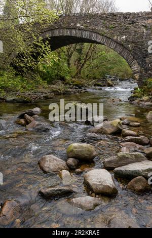 BoNT Newydd bei Aber Falls, Abergwyngreygn, Nordwales. Eine alte Steinbrücke über den Afon Rhaeadr Fawr. Stockfoto