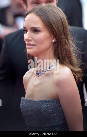 CANNES, FRANKREICH - 19. MAI: Natalie Portman kommt zur Premiere des Films The Zone of Interest in Competition während der 76. Ausgabe des Filmfestivals in Cannes am Palais des Festivals in Cannes, Frankreich, am 19. Mai 2023. Kredit: dpa Picture Alliance/Alamy Live News Stockfoto