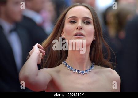 CANNES, FRANKREICH - 19. MAI: Natalie Portman kommt zur Premiere des Films The Zone of Interest in Competition während der 76. Ausgabe des Filmfestivals in Cannes am Palais des Festivals in Cannes, Frankreich, am 19. Mai 2023. Kredit: dpa Picture Alliance/Alamy Live News Stockfoto