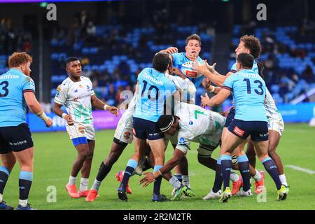 20. Mai 2023; Allianz Stadium, Sydney, NSW, Australien: Super Rugby Pacific, NSW Waratahs gegen Fidschian drua; Spieler-Herausforderung für einen losen Ball Credit: Action Plus Sports Images/Alamy Live News Stockfoto