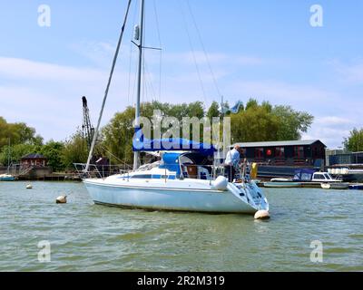 Woodbridge, Suffolk - 18. Mai 2023 : die White Lady Yachr segelt auf dem Fluss Deben in der Nähe von Woodbridge, auch bekannt als Eversons Boatyard. Stockfoto