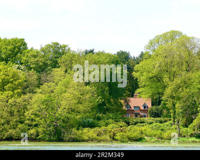 Woodbridge, Suffolk - 18. Mai 2023 : Ein Haus in Kyson Point, das durch die Bäume zum Fluss Deben blickt. Stockfoto