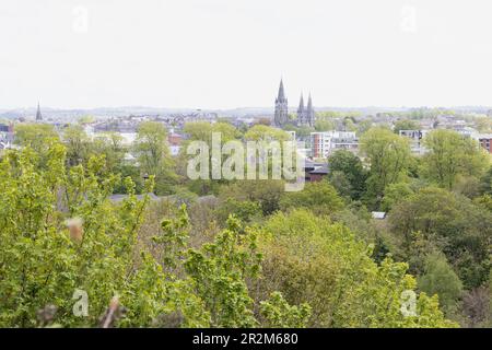 Stadtbild von Cork, Irland, inmitten grüner Bäume im Frühling. Stockfoto