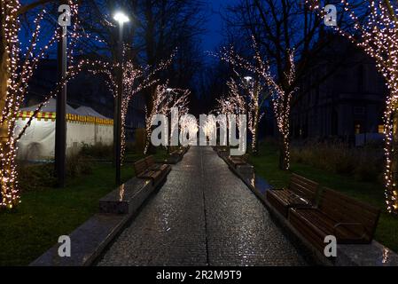 Eine von Bäumen gesäumte und gepflasterte Straße mit romantischer Beleuchtung Stockfoto