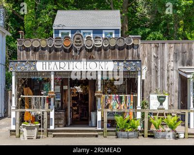 Sommerfoto von Heartichoke in Northport, NY Stockfoto