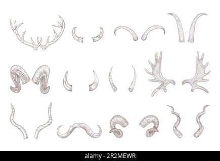 Hörner verschiedener Tiere mit gravierten Illustrationen Stock Vektor
