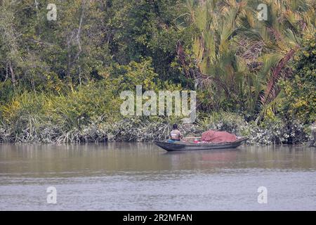 Ein Fischerboot auf dem Fluss in den Sundarbans, Bangladesch. Stockfoto