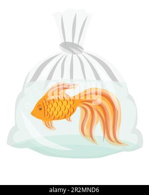 Trauriger Goldfisch in einem durchsichtigen Beutel isoliert auf weißem Hintergrund Stock Vektor